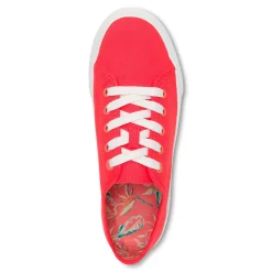 Clearance Oasis Sneaker Women Casual Sneakers